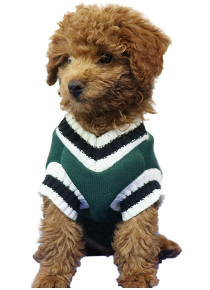 Suéter Tejido para Perro Estilo Preppy con Cuello en V - Image 11