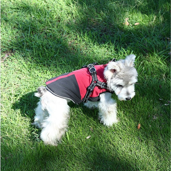 Ropa Impermeable para Mascotas en Algodón Resistente