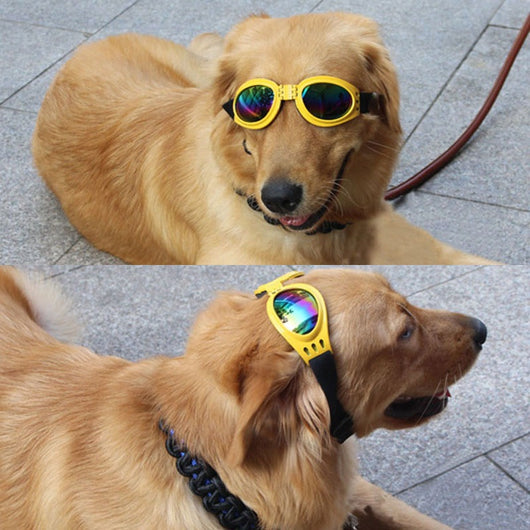 Gafas de Sol para Mascotas - Protección UV y Estilo para Perros y Gatos - Image 17