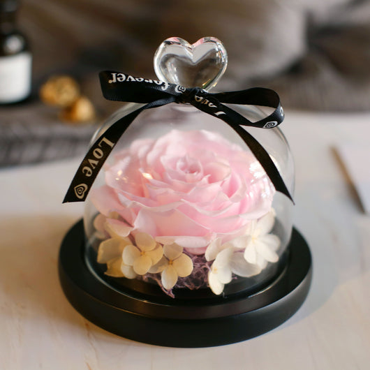 Caja de Regalo Rosa Eterna con Tapa de Cristal - Flor Inmortal para Día de Amor - Image 28