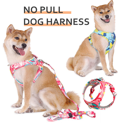Arnés Transpirable Estampado para Mascotas - Image 4