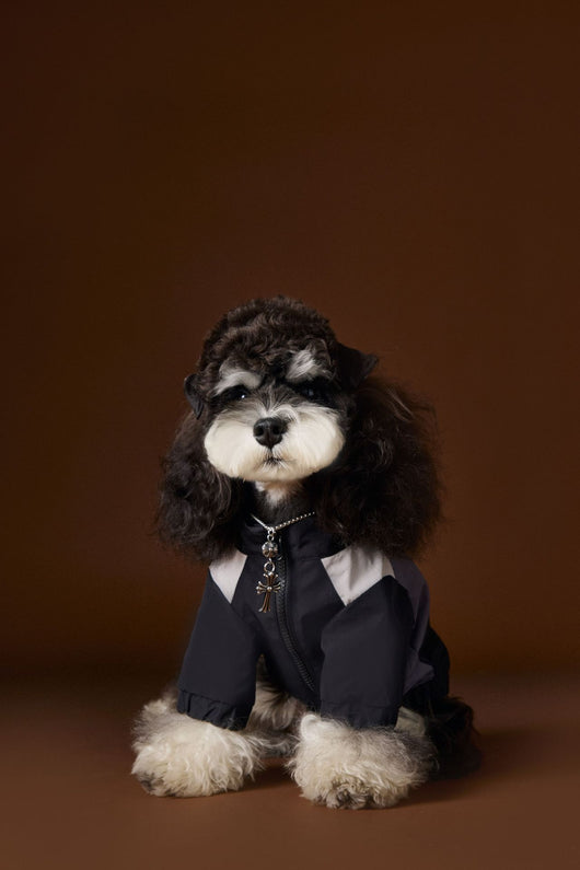 Ropa Deportiva Otoñal para Perros Macho - Diseño Elegante y Funcional - Image 10