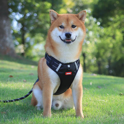 Orange no-pull dog harness with reflective strips, adjustable buckles, and a top handle for training and outdoor use. - Image 9