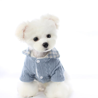 Disfraz Adorable de Dos Piezas para Perros Pequeños Tipo Bichón Frisé