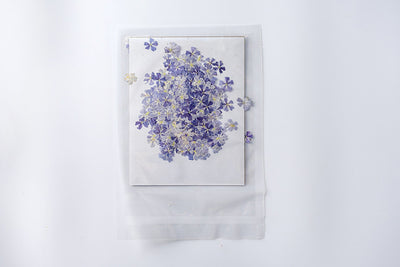 Marcapáginas con Flor de Cerezo Deshidratada - Accesorio Ornamental con Espécimen Botánico - Image 15