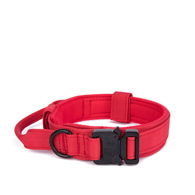 Collar Ajustable para Perro con Cierre Rápido de Entrenamiento - Image 5