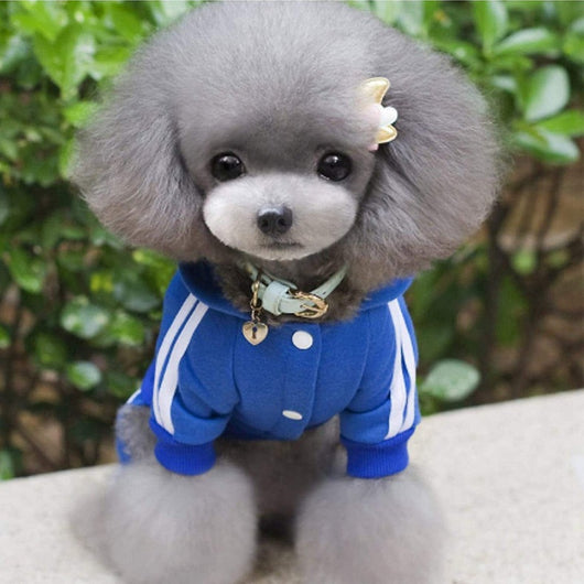 Sudadera con Capucha a Rayas para Mascotas - Image 14
