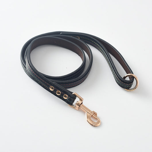 Correa y Collar para Perro - Sistema de Control Seguro - Image 8