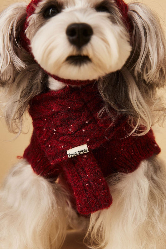 Gorro y Bufanda de Lana para Mascotas - Conjunto Abrigador para Perros - Image 14