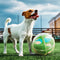 Juguete Interactivo para Perros con Sonidos y Puzzle Relajante
