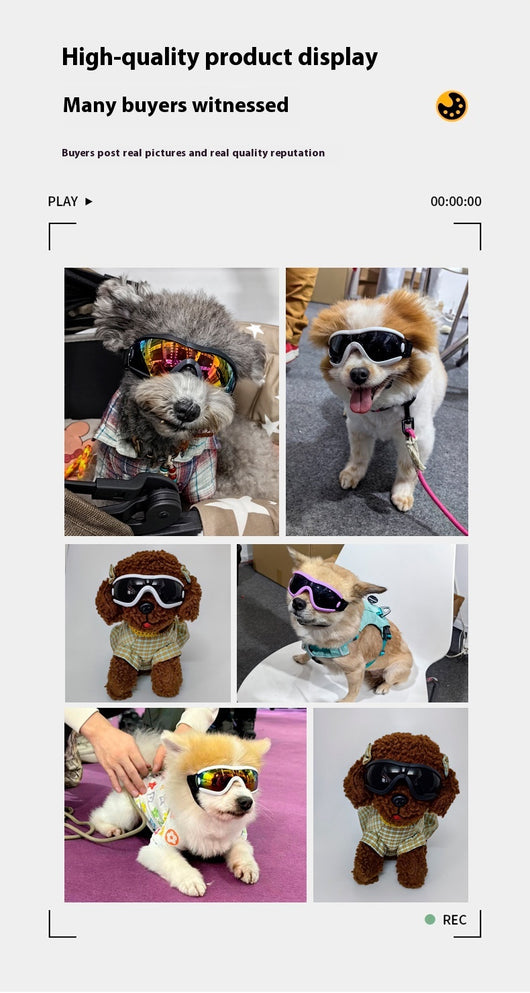 Gafas de Sol para Perros con Protección UV - Lentes Deportivas para Mascotas - Image 25
