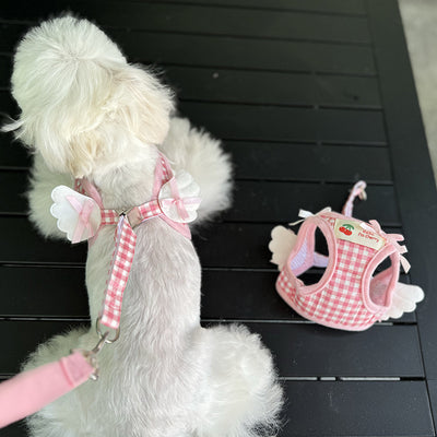 Arnés de Pecho con Correa de Mano para Perros Pequeños - Image 5