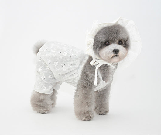 Adorno Navideño Gorro para Mascota Cachorro - Image 12