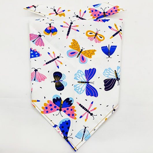 Pañuelo Bandana Absorbente para Mascotas con Diseño Frutal - Image 23