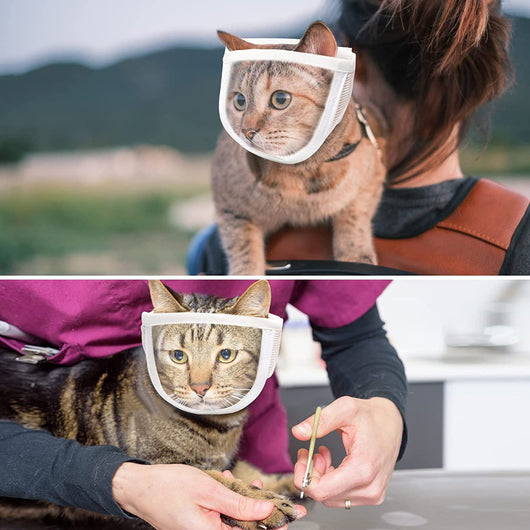 Bozal Respirador para Perros y Gatos - Cómodo y Seguro para Baño y Aseo - Image 11