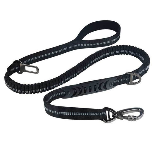 Correa Retráctil para Perro con Diseño Personalizado - Image 11
