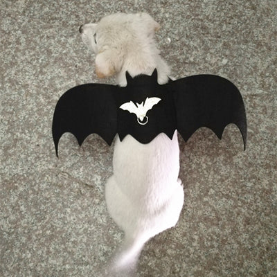 Disfraz de Murciélago para Perros - Alas Ajustables - Image 7