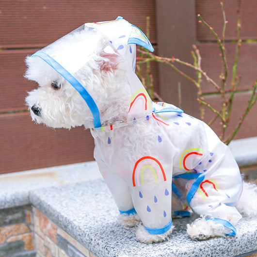 Impermeable Transparente Arcoíris para Perros - Image 2