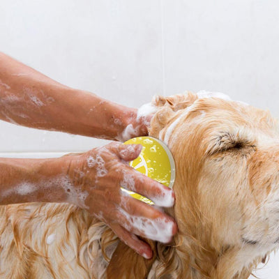 Cepillo de Baño 3 en 1 para Perros con Puntos de Masaje - Image 14