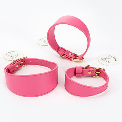 Set de Correas Suaves para Pasear Mascotas - Control Seguro y Cómodo - Image 22