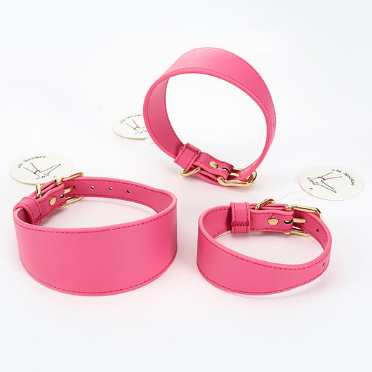 Set de Correas Suaves para Pasear Mascotas - Control Seguro y Cómodo - Image 22