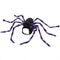 Black And Purple