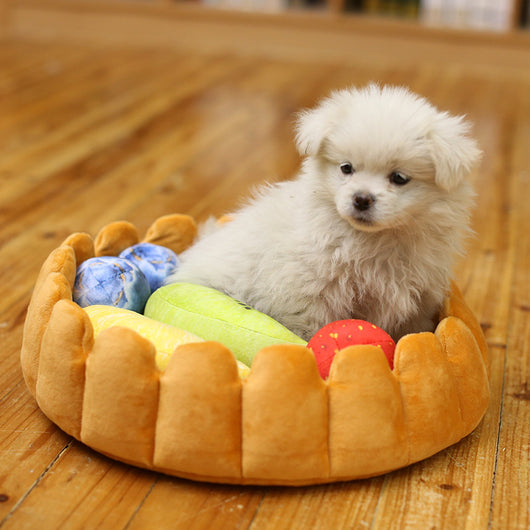 Caseta Térmica para Perros Diseño Pastel Innovador - Image 10