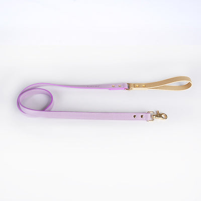 Juego de Collar y Correa para Perro en Cuero Premium - Image 11