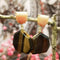 Natural Amethyst Tigereye Rhodochrosite Eardrops F