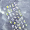 SL 091F