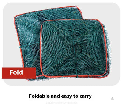 Jaula Plegable para Langosta con Dos Orificios - Image 12