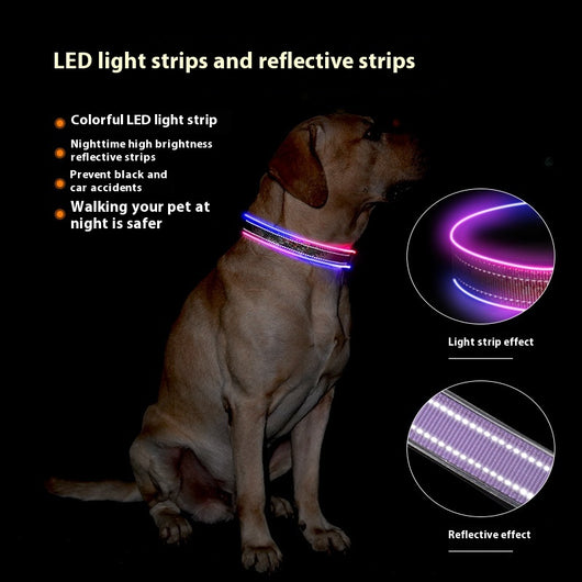 Collar Luminoso USB para Perros con Banda Reflectante y Impresión LED - Image 2