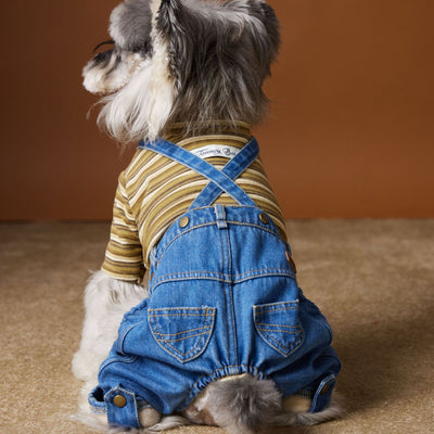 Ropa de Invierno para Perros Pequeños - Jeans Acolchado Térmico - Image 7