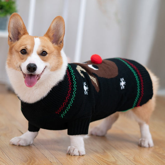 Abrigo Acolchado Térmico para Shiba Inu - Protección Invernal - Image 4