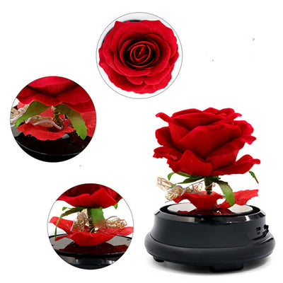 Rosas Eternas Deshidratadas para Día de Madres - Decoración del Hogar - Image 9