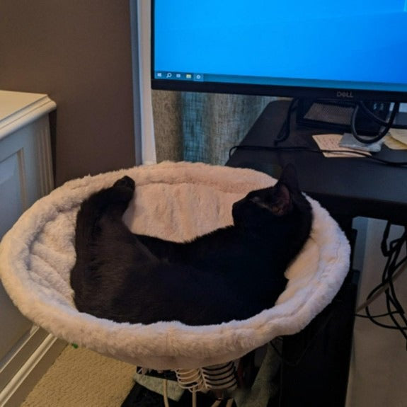 Hamaca para Gatos Ajustable y Ergonómica