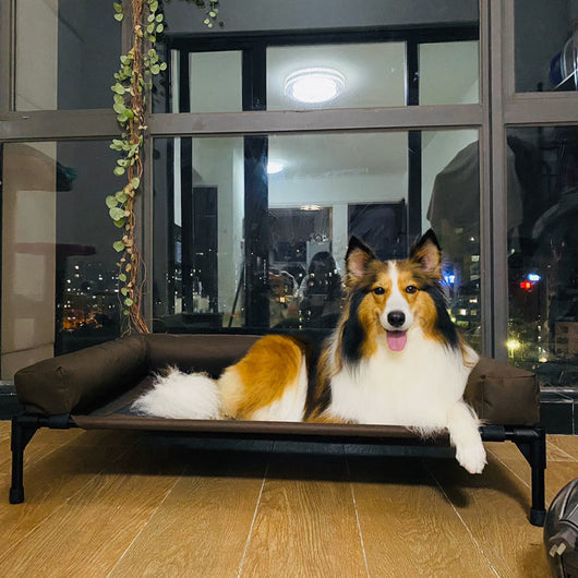 Cama Campestre para Mascotas con Bordes Extraíbles y Lavables