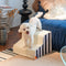 Escaleras para Perros con Cama Integrada - Rampas Cómodas para Mascotas