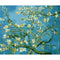 Color 12 40 X 50