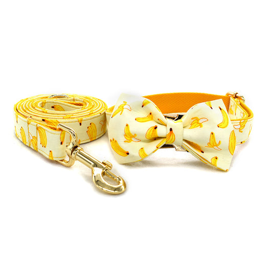 Collar de Cuerda para Mascotas con Hebilla de Metal Dorada - Image 5