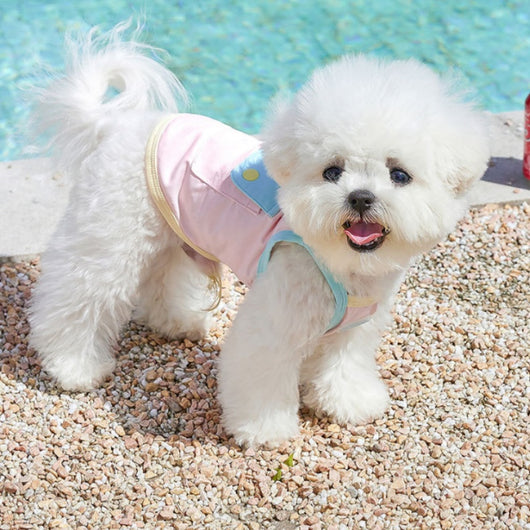 Ropa Fresca de Verano para Perros Pequeños - Bichón y Chihuahua