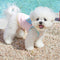 Ropa Fresca de Verano para Perros Pequeños - Bichón y Chihuahua