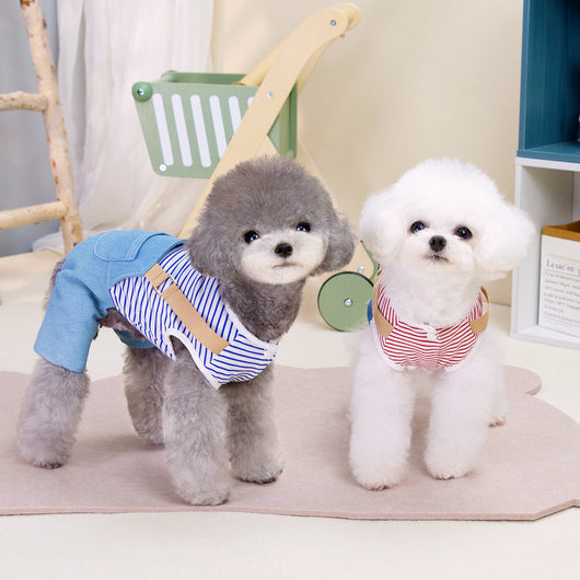 Pantalón Denim de Cuatro Patas para Mascotas con Estilo - Image 12