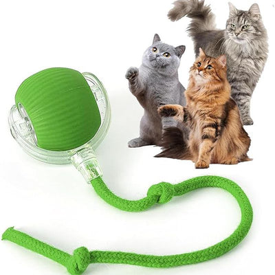 Blue and clear interactive cat ball toy with a rope, shown with three playful cats in the background. - Image 10