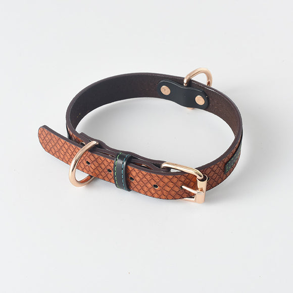 Correa y Collar para Perro - Sistema de Control Seguro