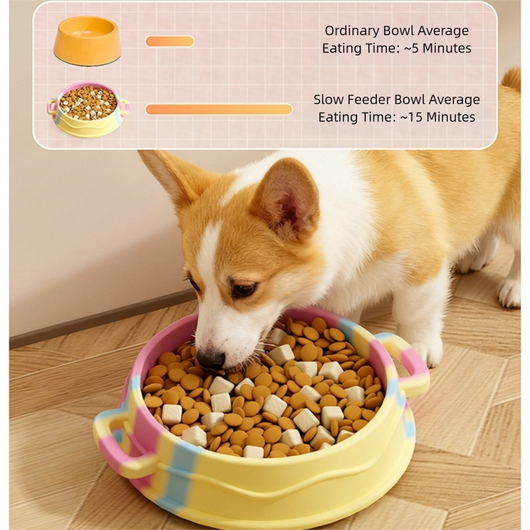 Comedero Antiatragantamiento para Perros con Asas de Silicona - Image 21