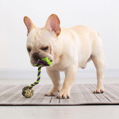 Juguetes de Cuerda con Nudos para Perros - Juego Interactivo de Tracción - Image 3
