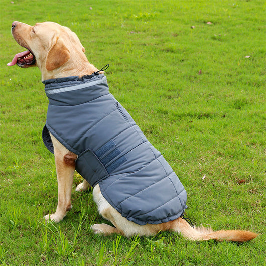 Abrigo Impermeable para Perros Grandes - Trinchera Térmica Corgi y Razas Medianas - Image 14