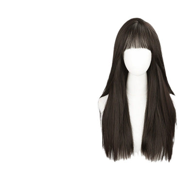 Peluca Larga Mujer Cabello Natural Liso Frente Encaje Completo Premium - Image 5