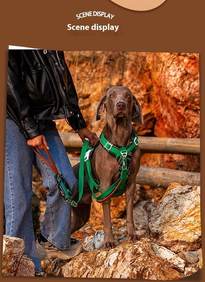 Arnés de Pecho para Perros con Correa de Fácil Colocación - Image 10